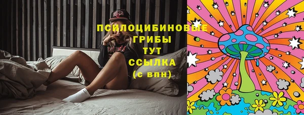 гидра Лабытнанги