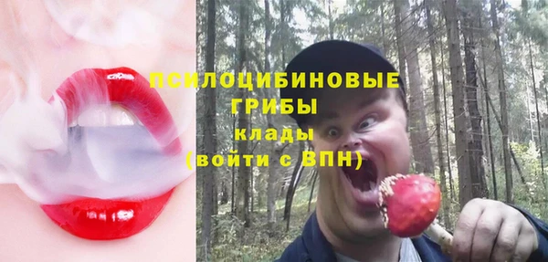 СК Лихославль