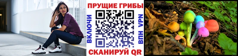 Галлюциногенные грибы MAGIC MUSHROOMS  купить наркотик  Томари 
